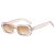 Champagne frame gradient brown